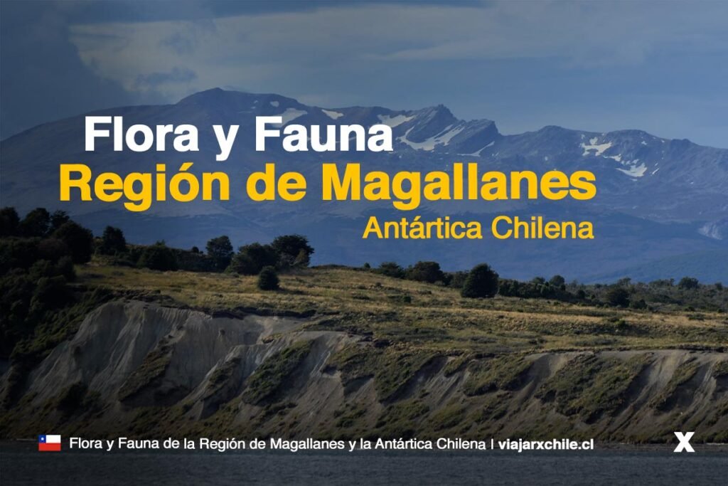 Flora y fauna de la Región de Magallanes Flora y fauna de la Región de Magallanes