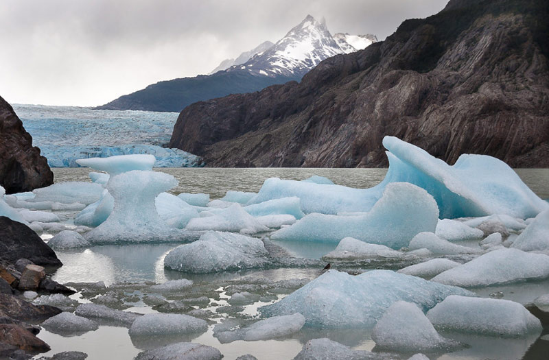 Glaciar Grey, Torres del Paine, Chile.