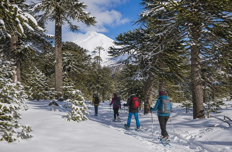 Tour con Raquetas de Nieve en la Araucanía Andina