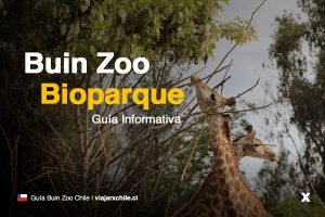 Buin Zoo - Bioparque