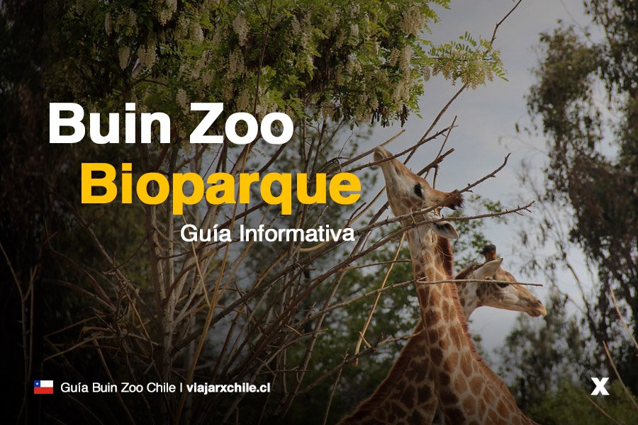 Buin Zoo - Bioparque Buin Zoo - Bioparque