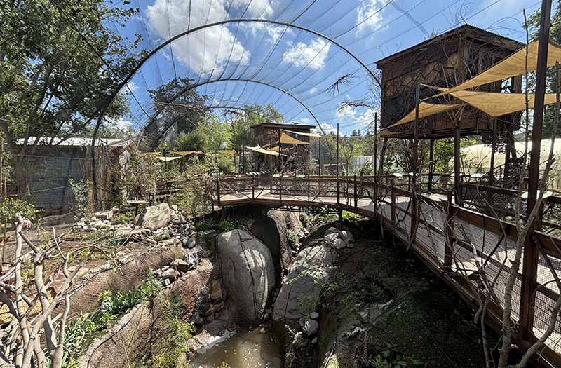Buin Zoo Entradas: Precios, Descuentos y compra de tickets Buin Zoo Entradas: Precios, Descuentos y compra de tickets