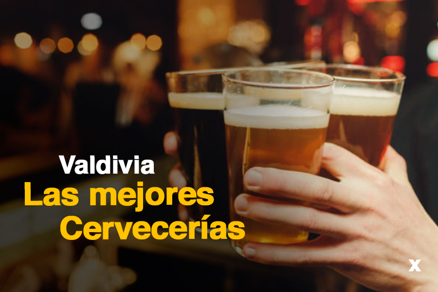 Cervecerías en Valdivia