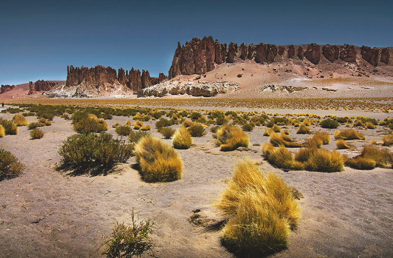 Diserto de Atacama Diserto de Atacama