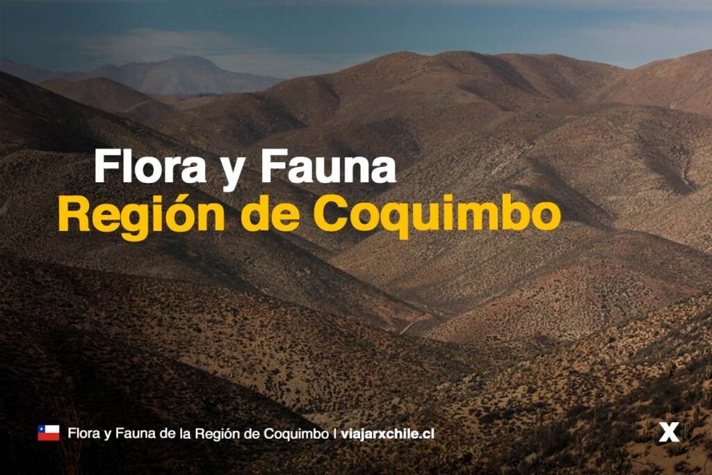 Flora y Fauna de la Región de Coquimbo