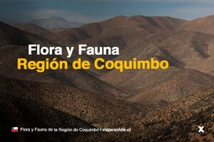 Flora y fauna de la Región de Coquimbo