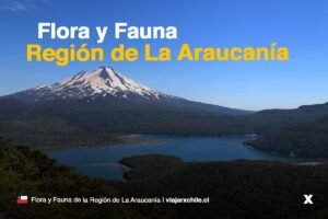 Flora y fauna de la Región de La Araucanía