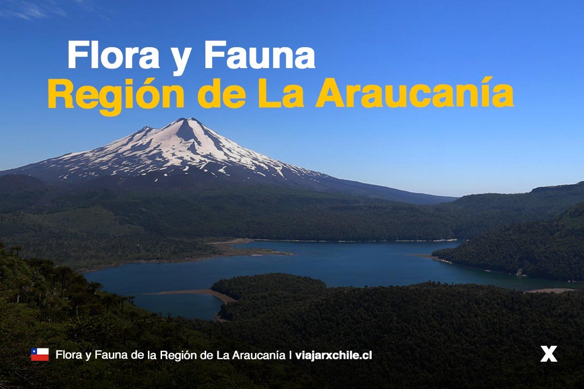 Flora y fauna de la Región de La Araucanía