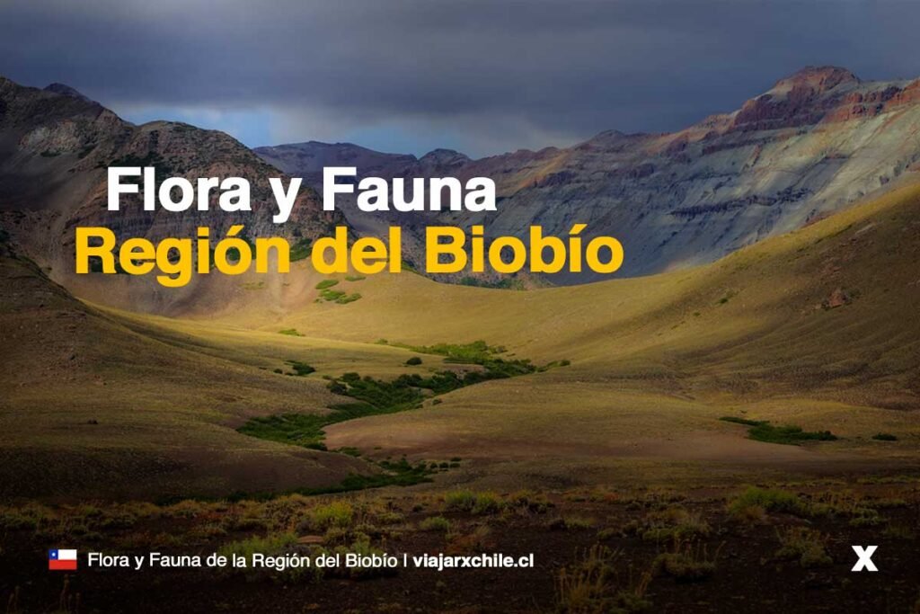Flora y Fauna de la Región del Biobío