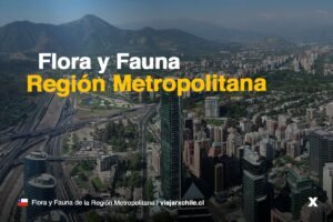 Flora y fauna de la Región Metropolitana
