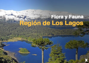 Flora y fauna de la Región de Los Lagos