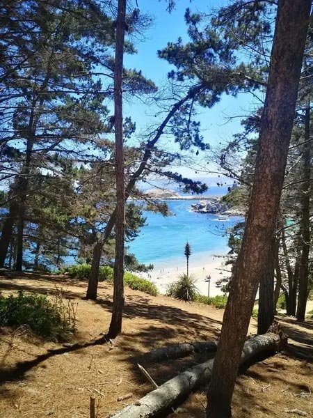 Free Tour Algarrobo