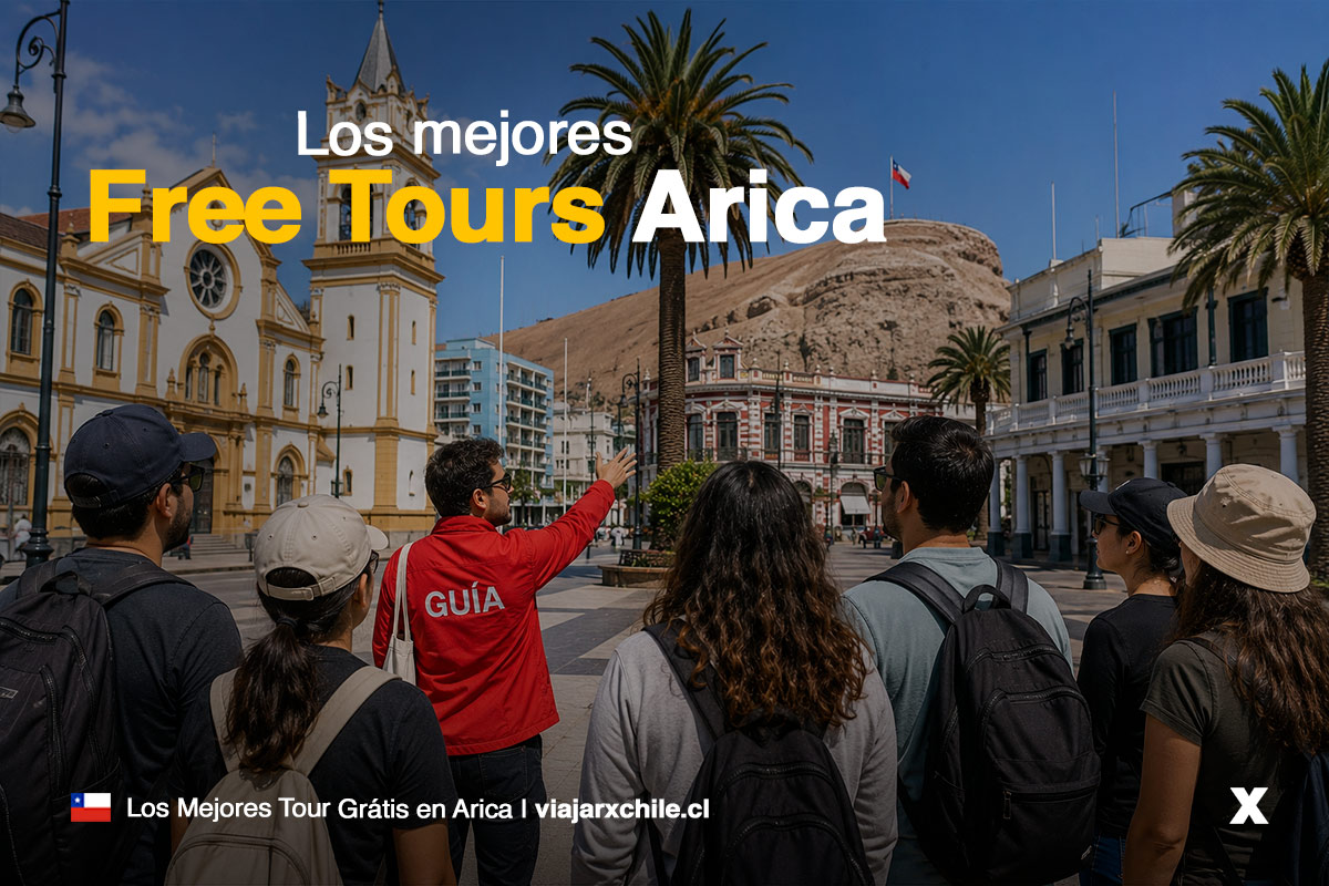 Mejores Free Tours en Arica