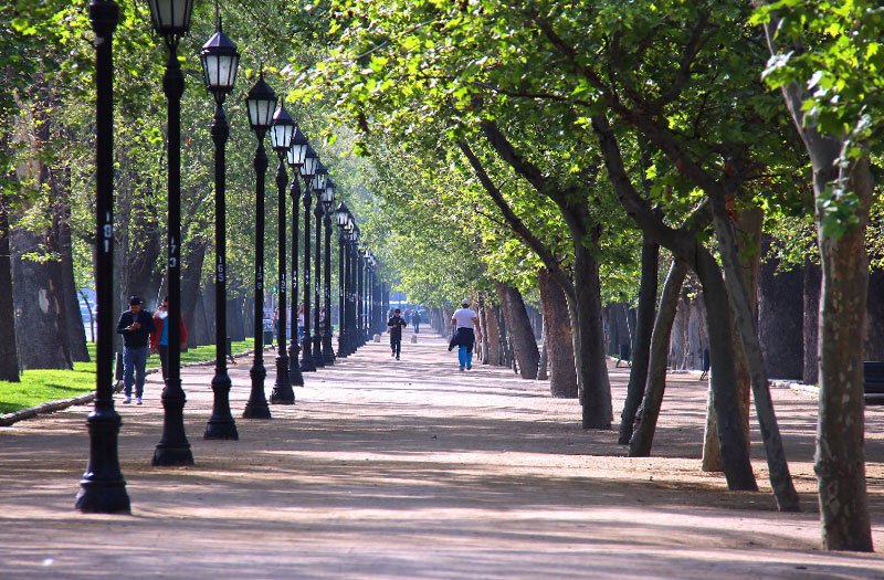 Parque Forestal Parque Forestal
