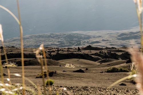 Conguillio National Park - Foto: Raimund Andree