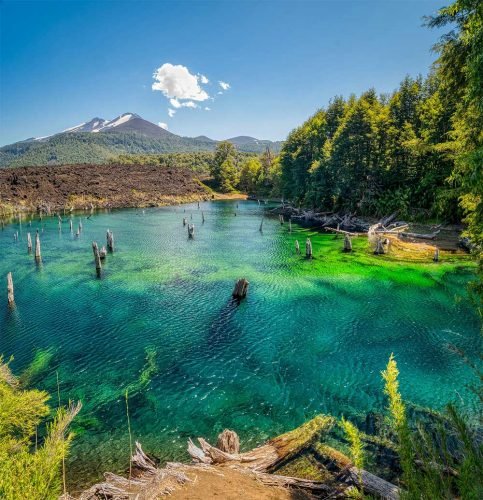 Lago Conguillio - Foto: Franz Nawrath