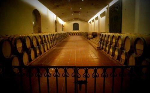 Vina Concha y Toro - Foto: Sergio Olivier
