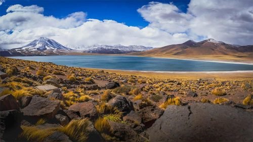 atacama-mirko-rebolledo