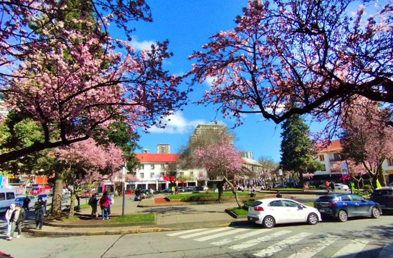 Tour gratis en Concepción por Civitatis - Plaza Peru