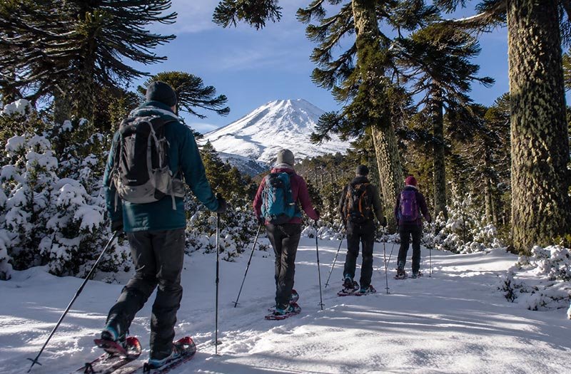 Descubrir la Araucanía y los Volcanes Nevados